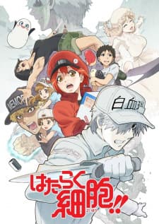 Hataraku Saibou!! Season 2